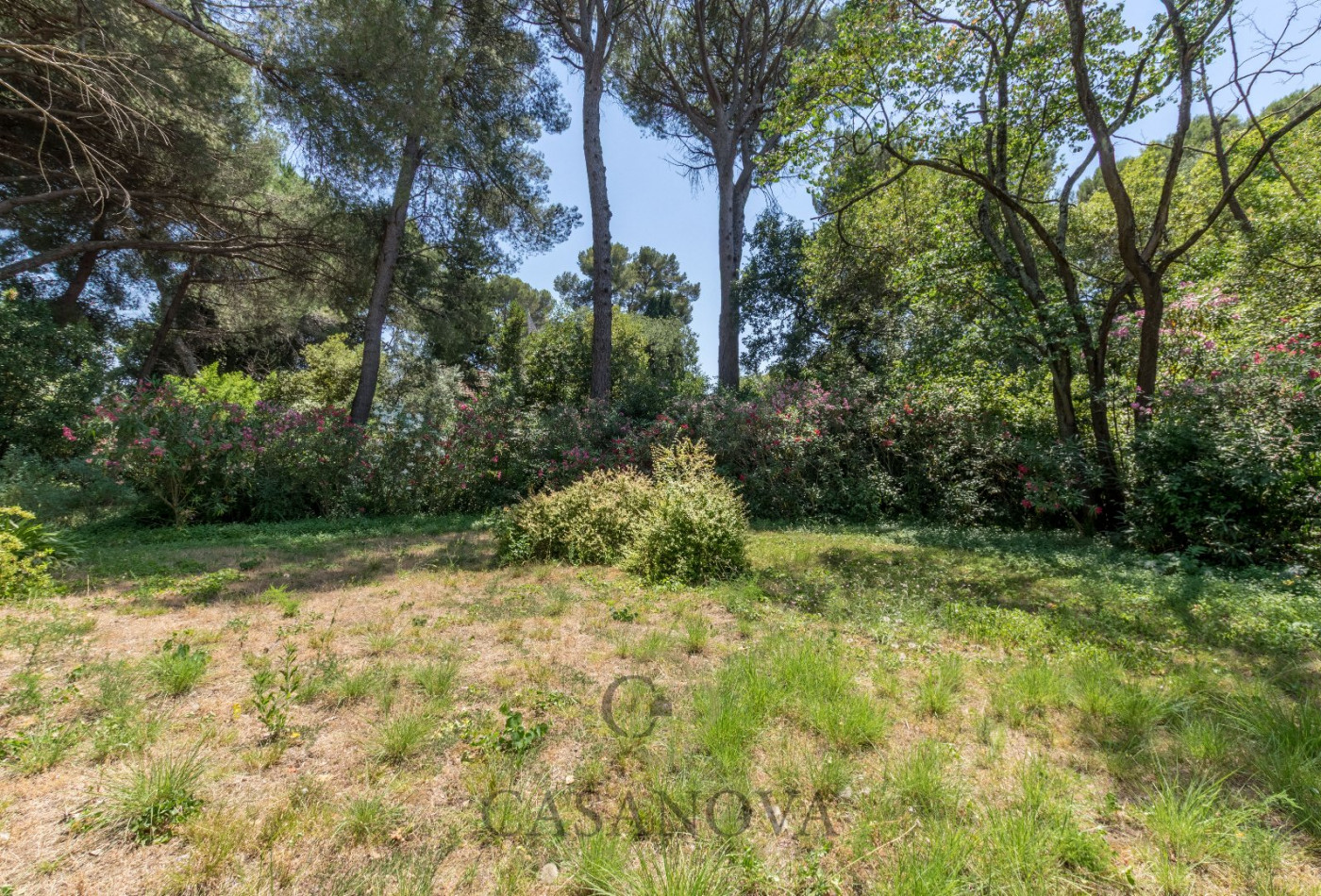 sale Maison Montpellier - Photo 5