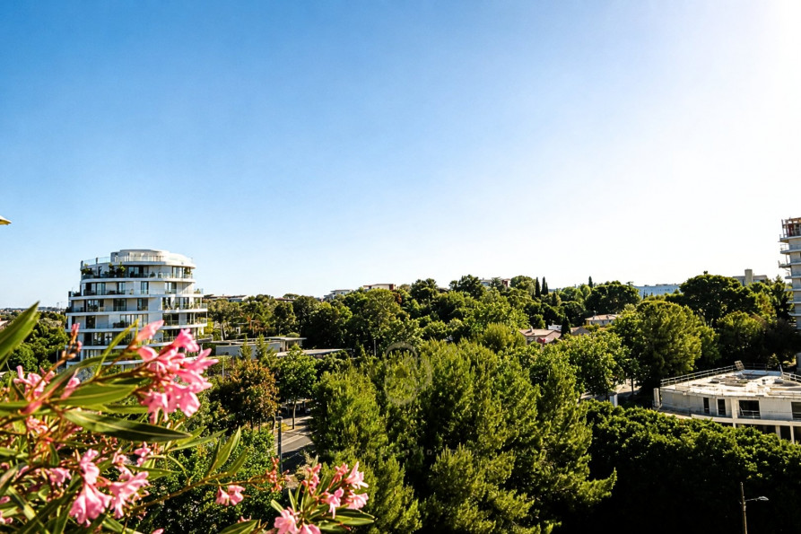 vente Duplex Montpellier - Photo 1