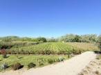 vente Maison Belarga