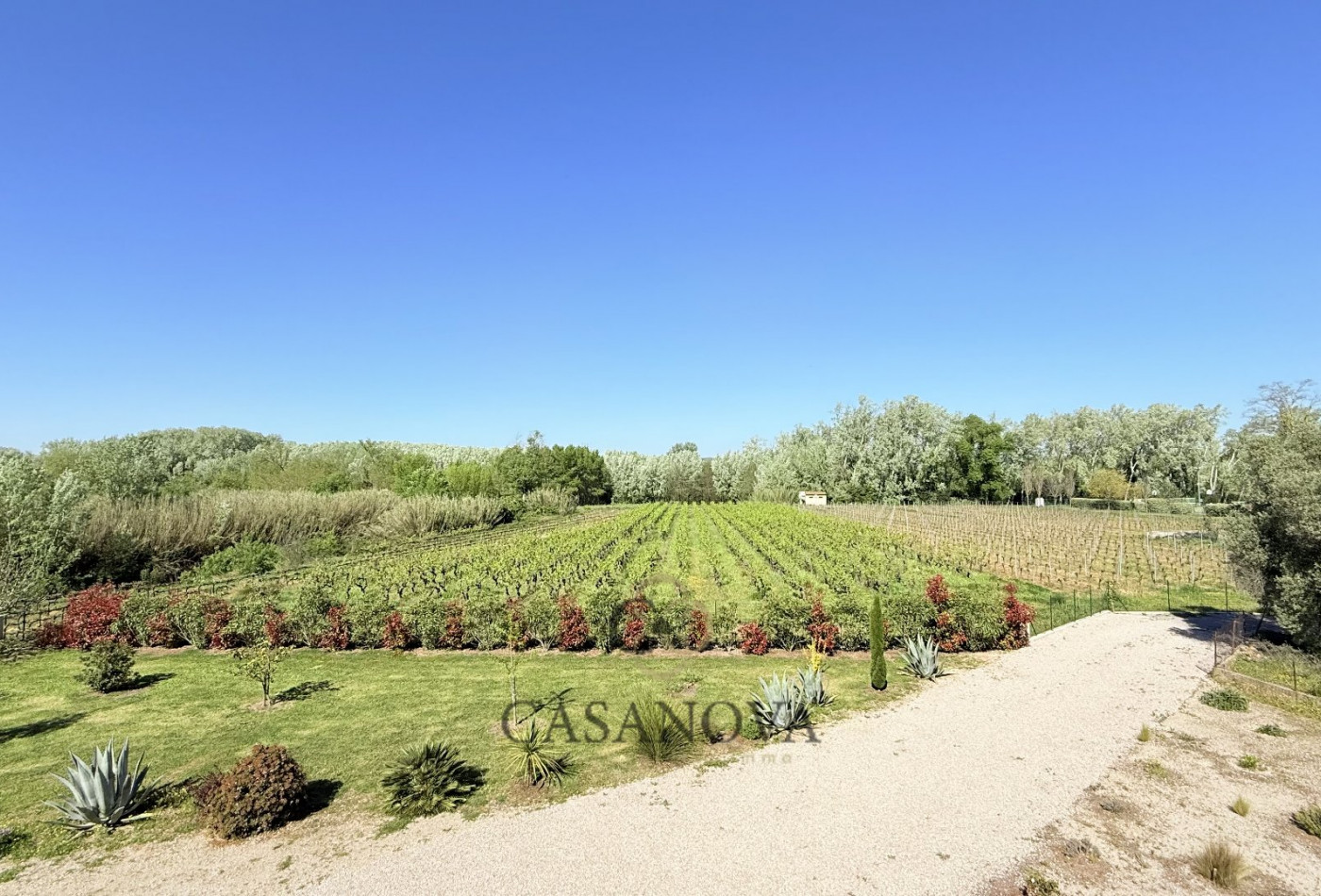 vente Maison Belarga - Photo 3