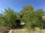 sale Terrain Montpellier