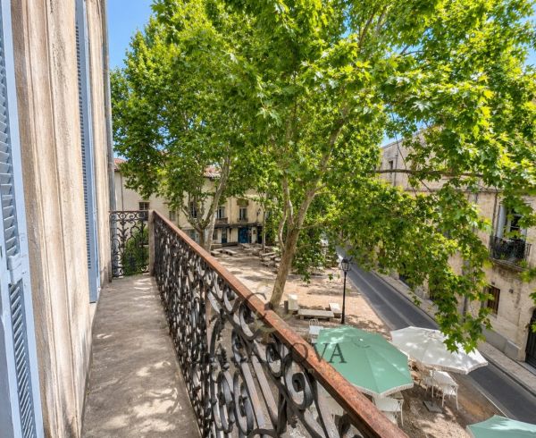 sale Montpellier
