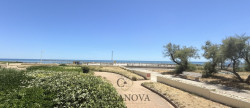 vente Appartement Palavas Les Flots