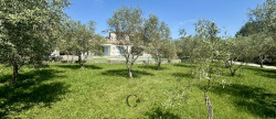 vente Maison Saint Gely Du Fesc