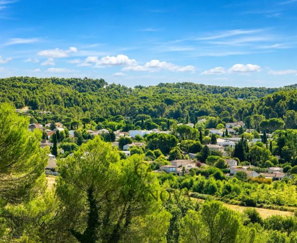 sale Saint Clement De Riviere