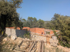 vente Terrain Saint Clement De Riviere