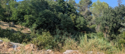 vente Terrain Saint Clement De Riviere