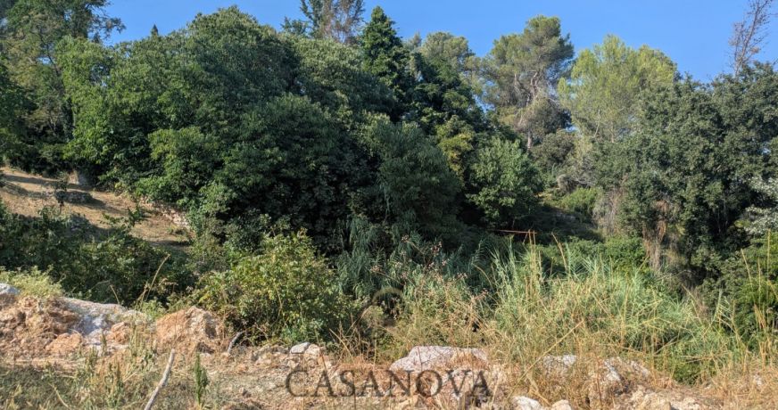 vente Terrain Saint Clement De Riviere