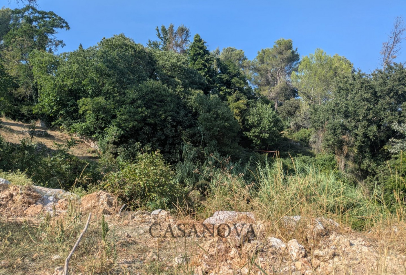 vente Terrain Saint Clement De Riviere - Photo 6
