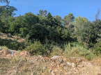 vente Terrain Saint Clement De Riviere