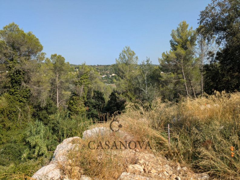 vente Terrain Saint Clement De Riviere - Photo 7