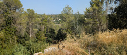 vente Terrain Saint Clement De Riviere