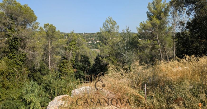 vente Terrain Saint Clement De Riviere