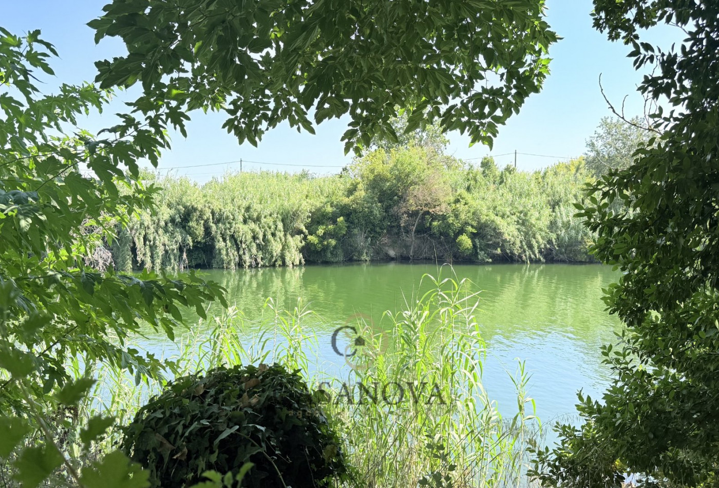 vente Restaurant Serignan - Photo 3