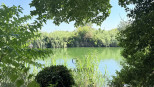 vente Restaurant Serignan