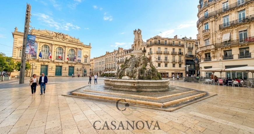 vente Immeuble Montpellier