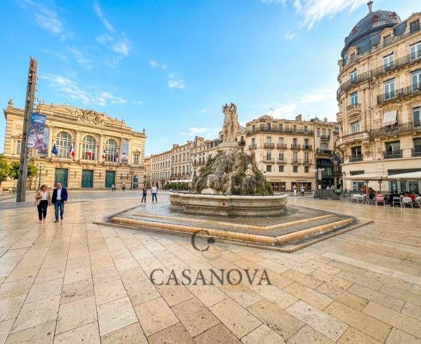sale Montpellier