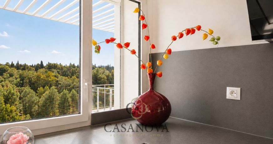 vente Appartement Castelnau Le Lez