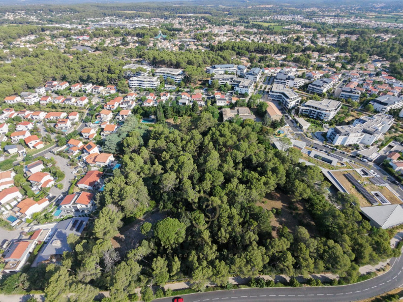 vente Domaine Castelnau Le Lez - Photo 1