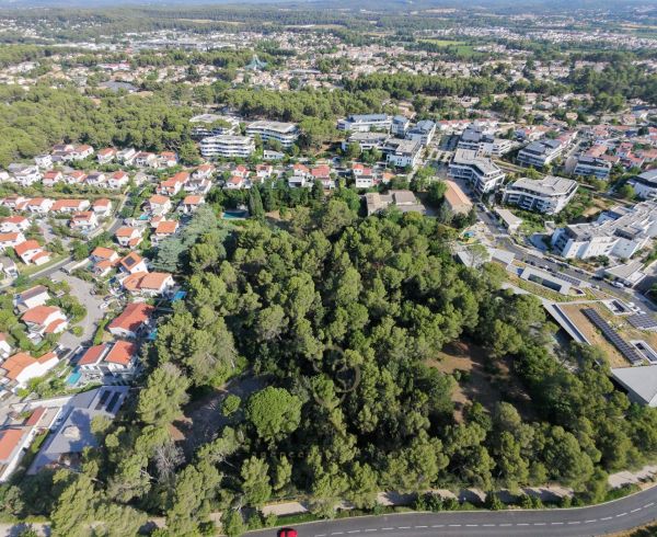 sale Castelnau Le Lez
