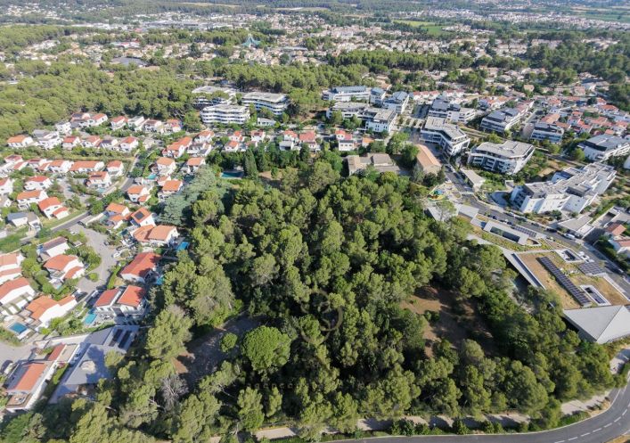 vente Domaine Castelnau Le Lez