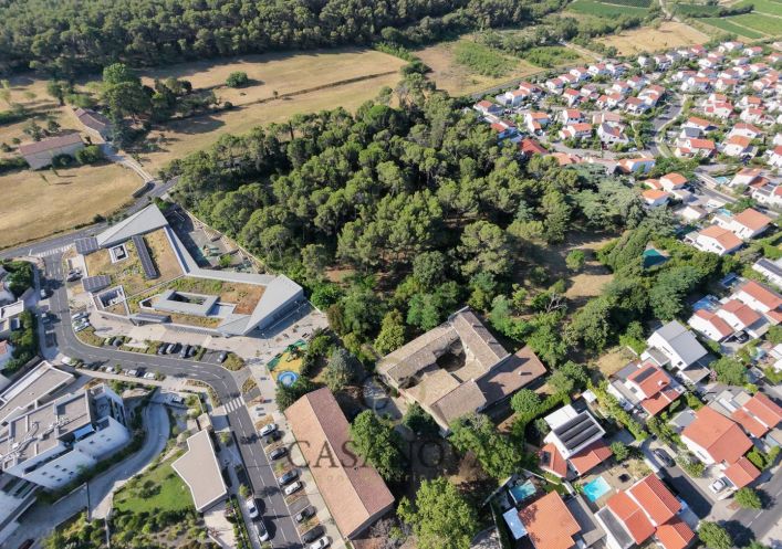 sale Domaine Castelnau Le Lez