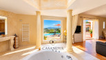 vente Villa Grasse