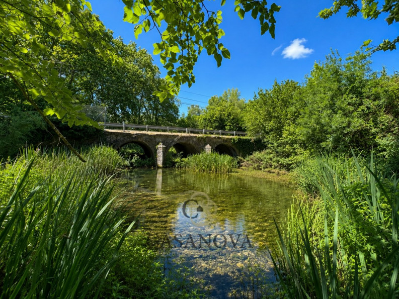 vente Mas Parignargues - Photo 4