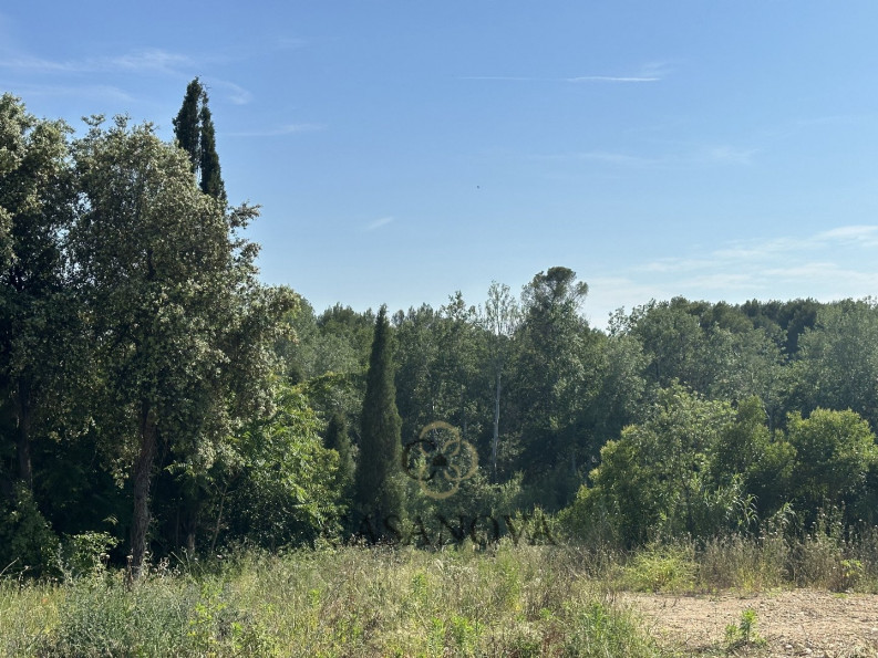 vente Maison Montferrier Sur Lez - Photo 8