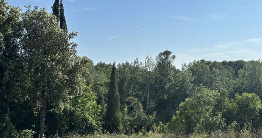 vente Maison Montferrier Sur Lez