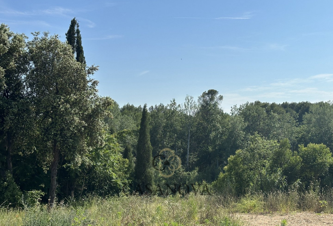 vente Maison Montferrier Sur Lez - Photo 8
