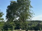 vente Maison Montferrier Sur Lez