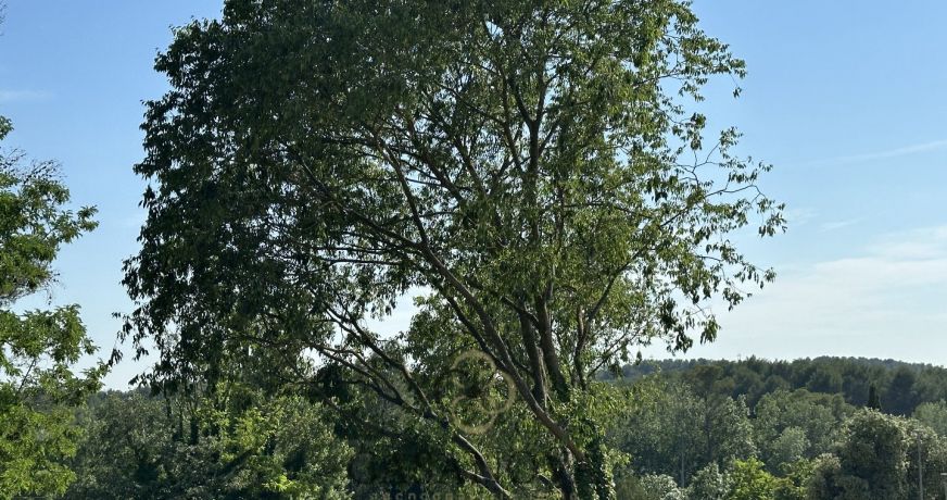 vente Maison Montferrier Sur Lez