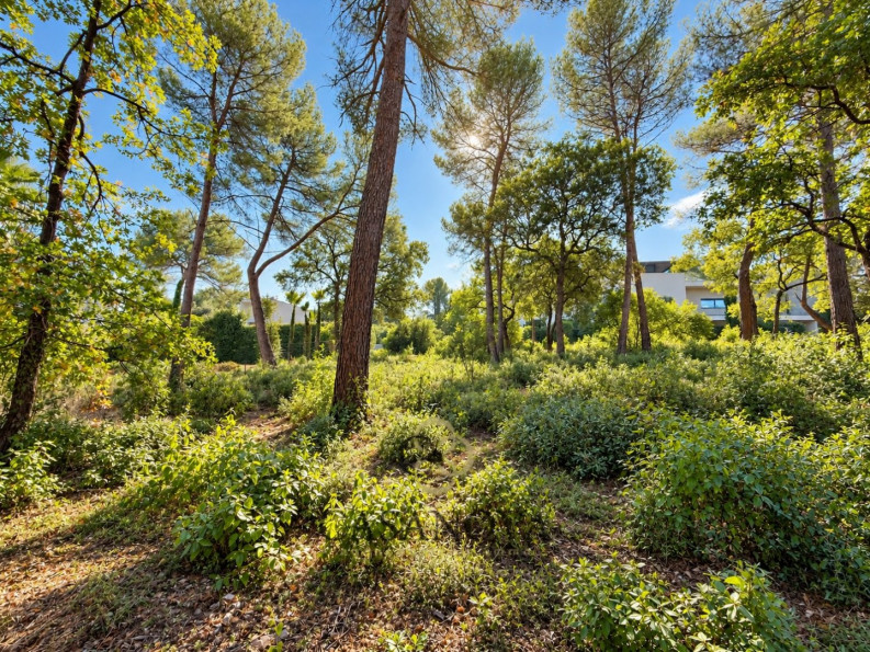 vente Terrain constructible Saint Clement De Riviere - Photo 1