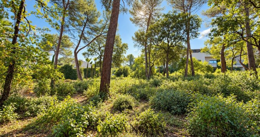 vente Terrain constructible Saint Clement De Riviere