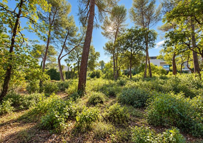 vente Terrain constructible Saint Clement De Riviere