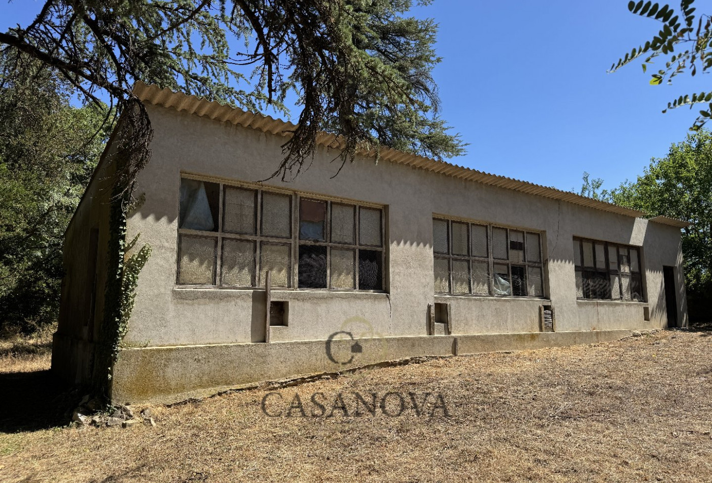 vente Mas Parignargues - Photo 14