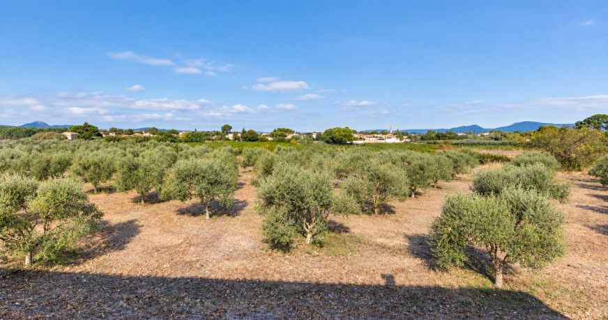 vente Mas Montpellier