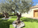 vente Maison Fleury-d'aude