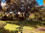 sale Terrain constructible Salinelles