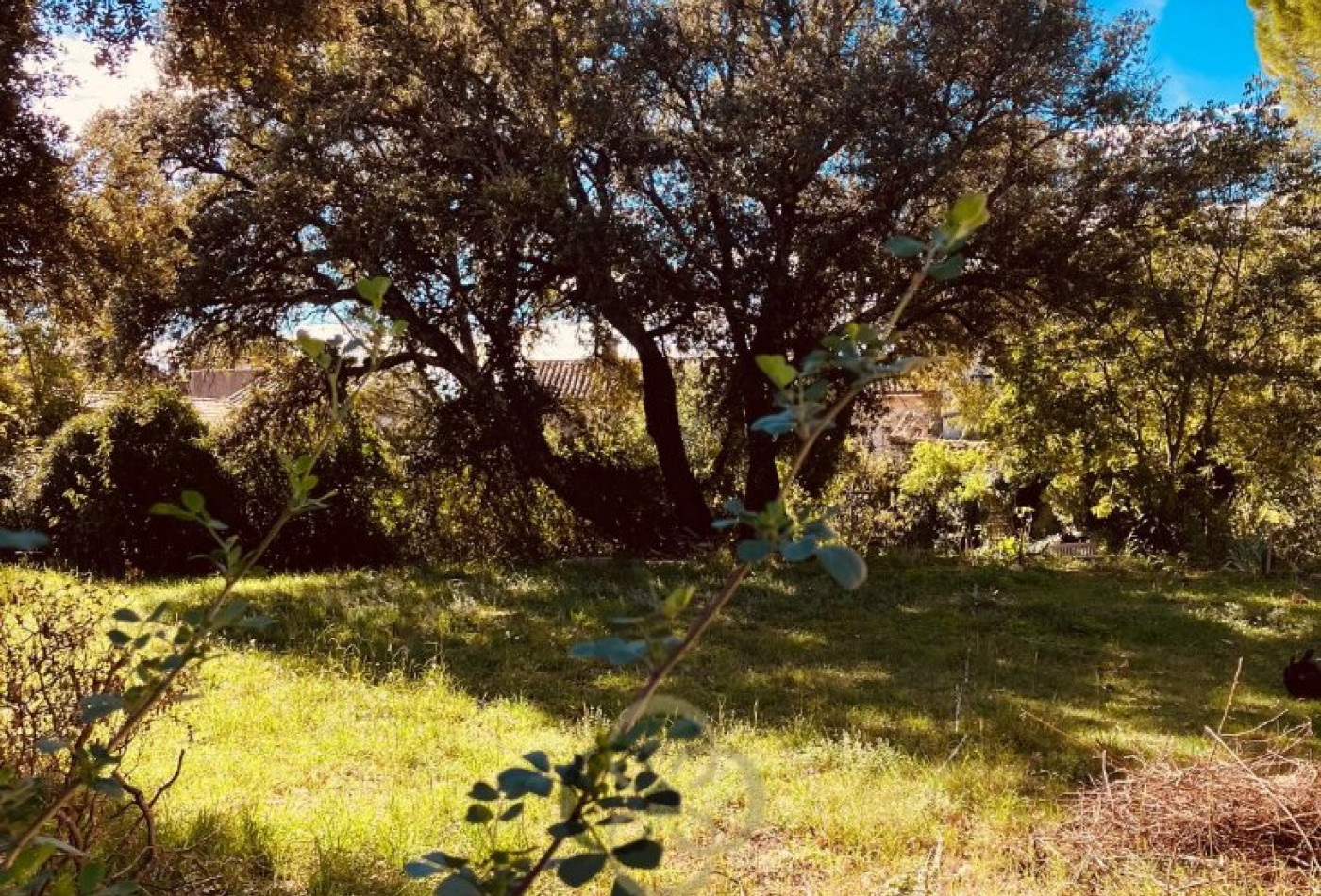 sale Terrain constructible Salinelles - Photo 1