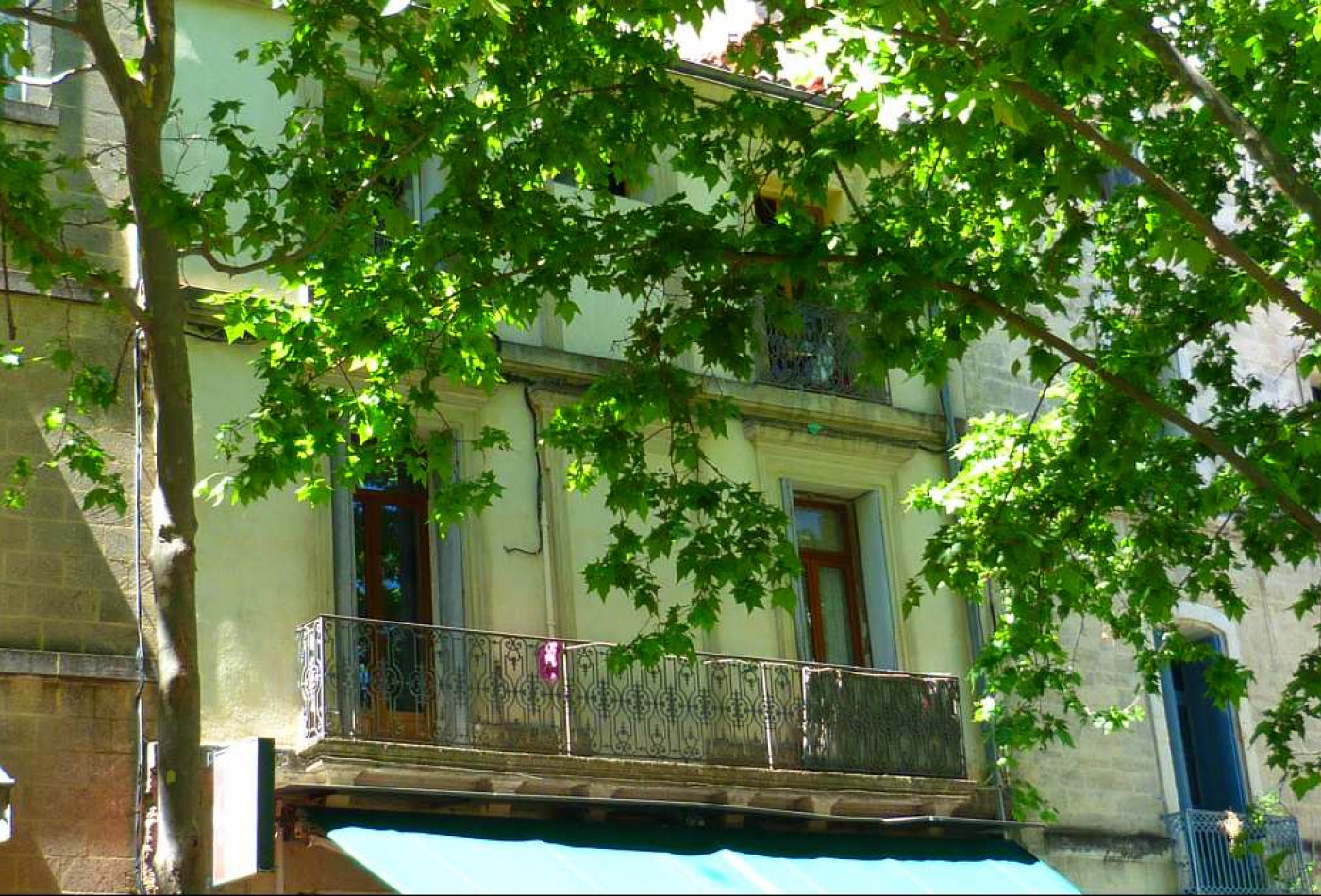letting Appartement Montpellier - Photo 6