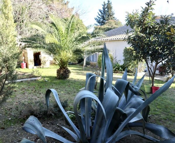 For sale Montpellier 340146872 Agence galerie casanova