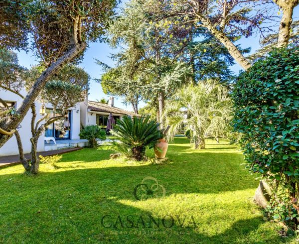 vente Cournonterral
