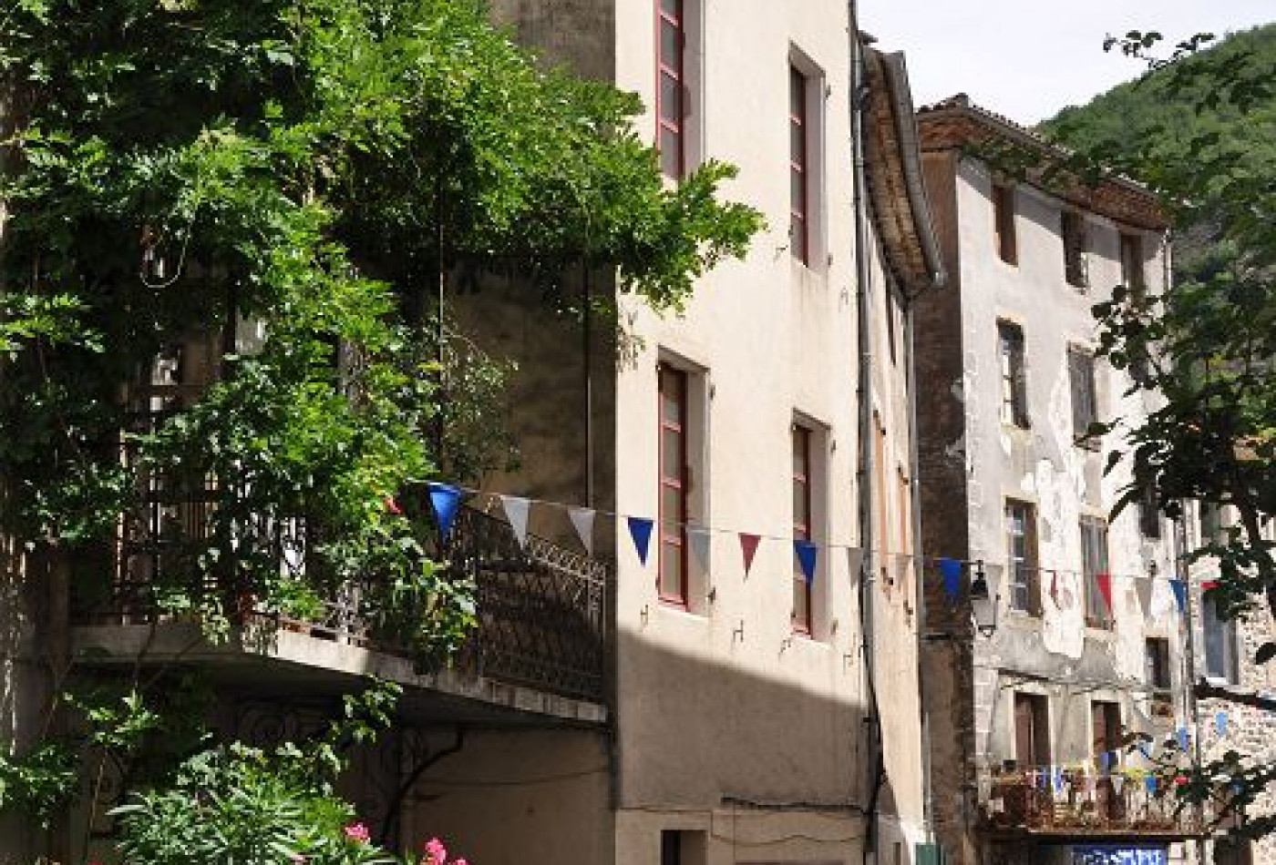 vente Maison Valleraugue - Photo 8