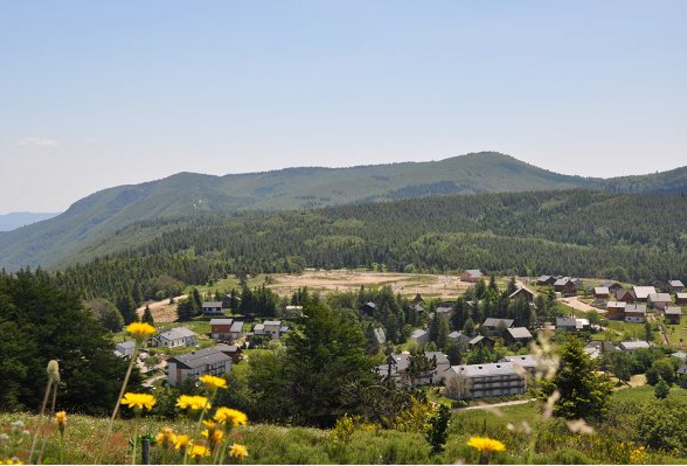 vente Terrain constructible L'esperou - Photo 4