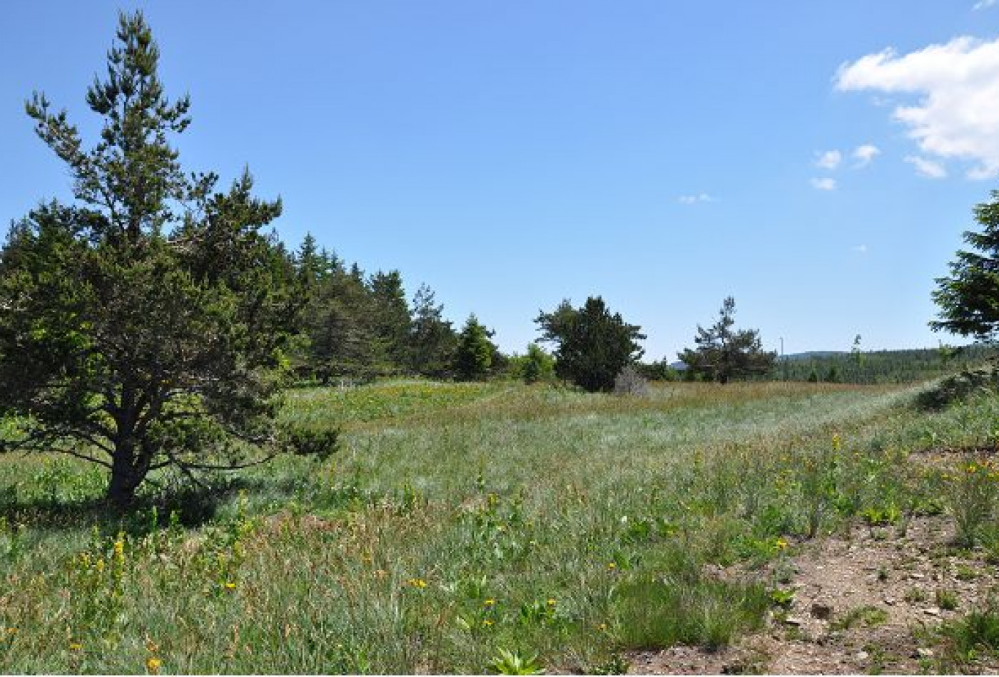 vente Terrain constructible L'esperou - Photo 2