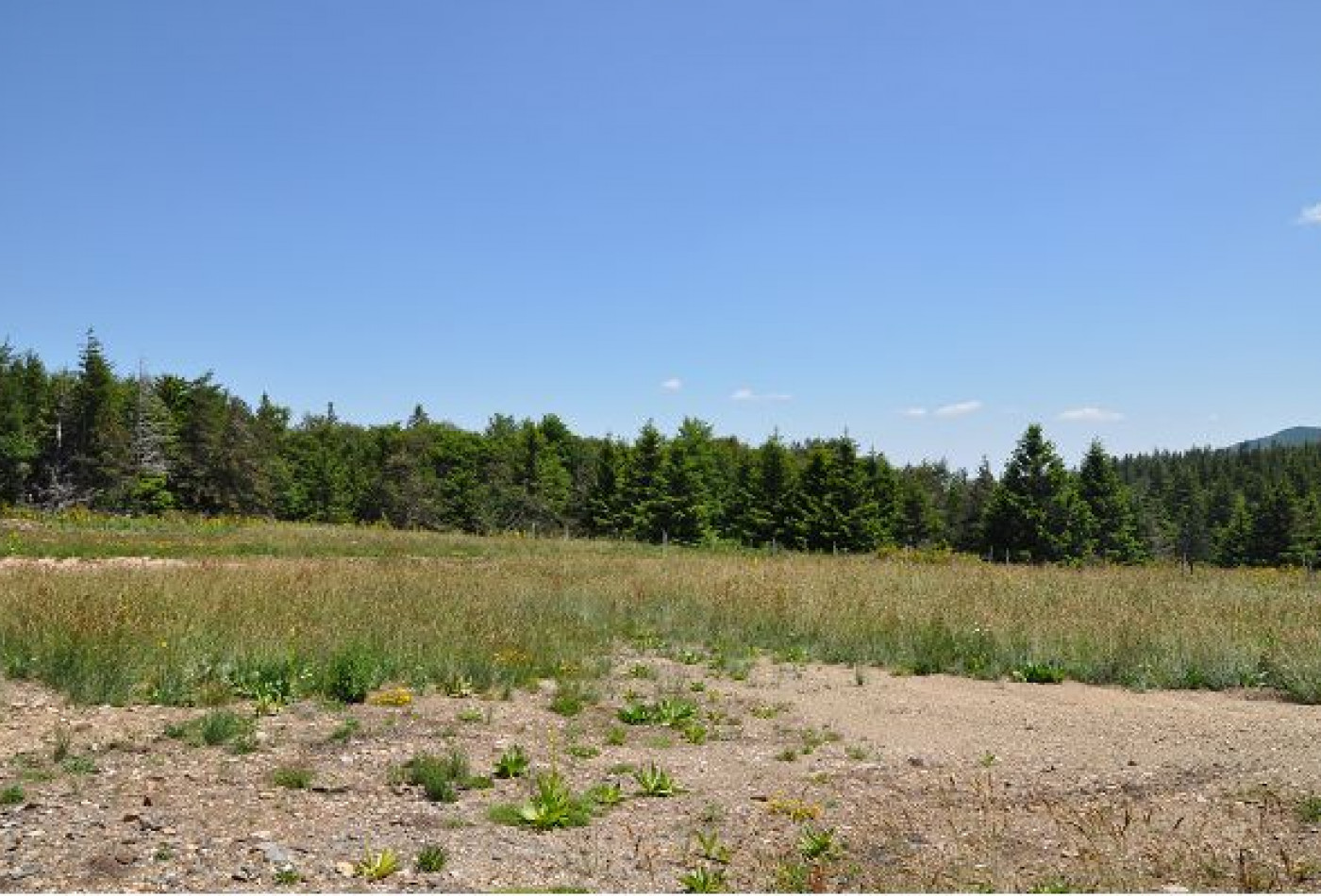 vente Terrain constructible L'esperou - Photo 1