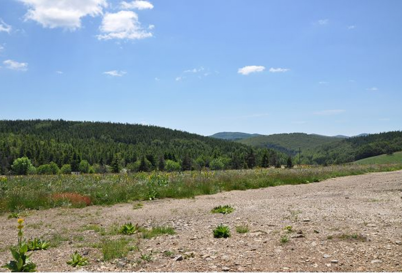 vente Terrain constructible L'esperou - Photo 2