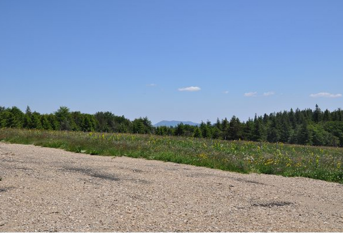 vente Terrain constructible L'esperou - Photo 3